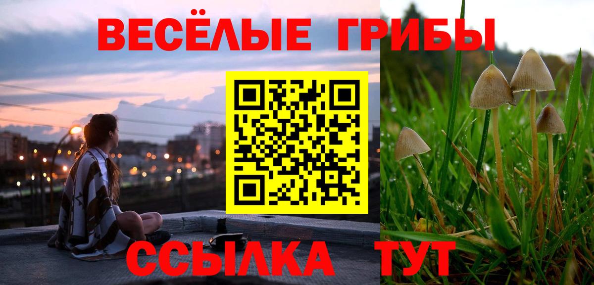 Кулебаки  Псилоцибиновые грибы мухоморы  Вход с VPN  Галлюциногенные грибы Cubensis 